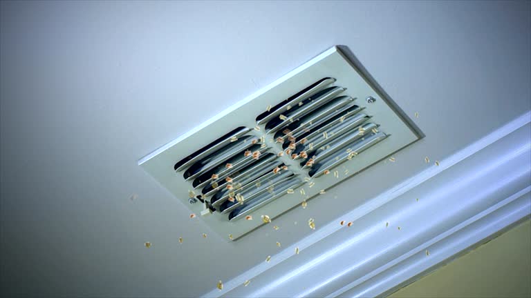 Best Ductwork Cleaning Services  in Alexandria, MN