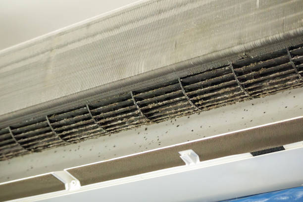 Best Professional Duct Cleaning Services  in Alexandria, MN